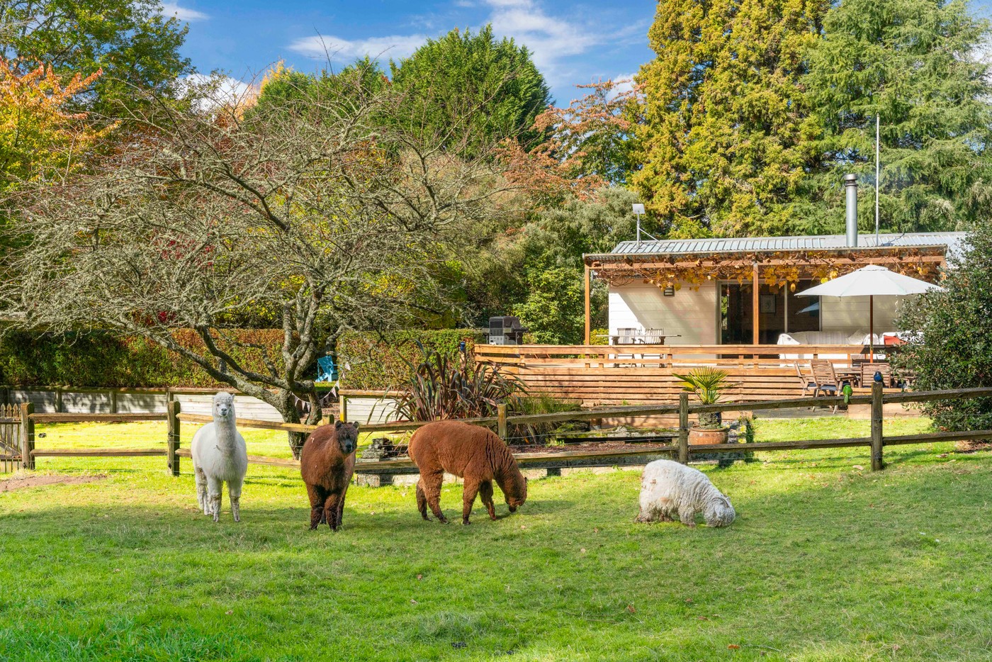 Your Lifestyle Sanctuary Awaits!