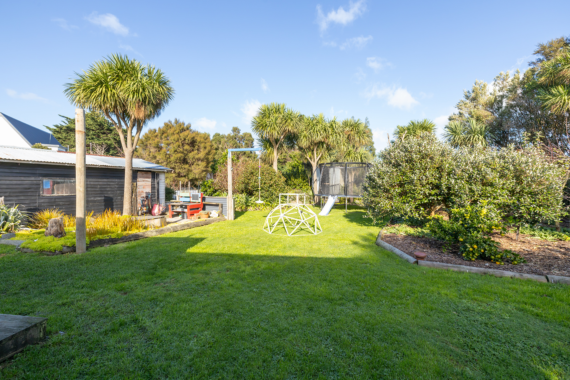 2Z4A9553