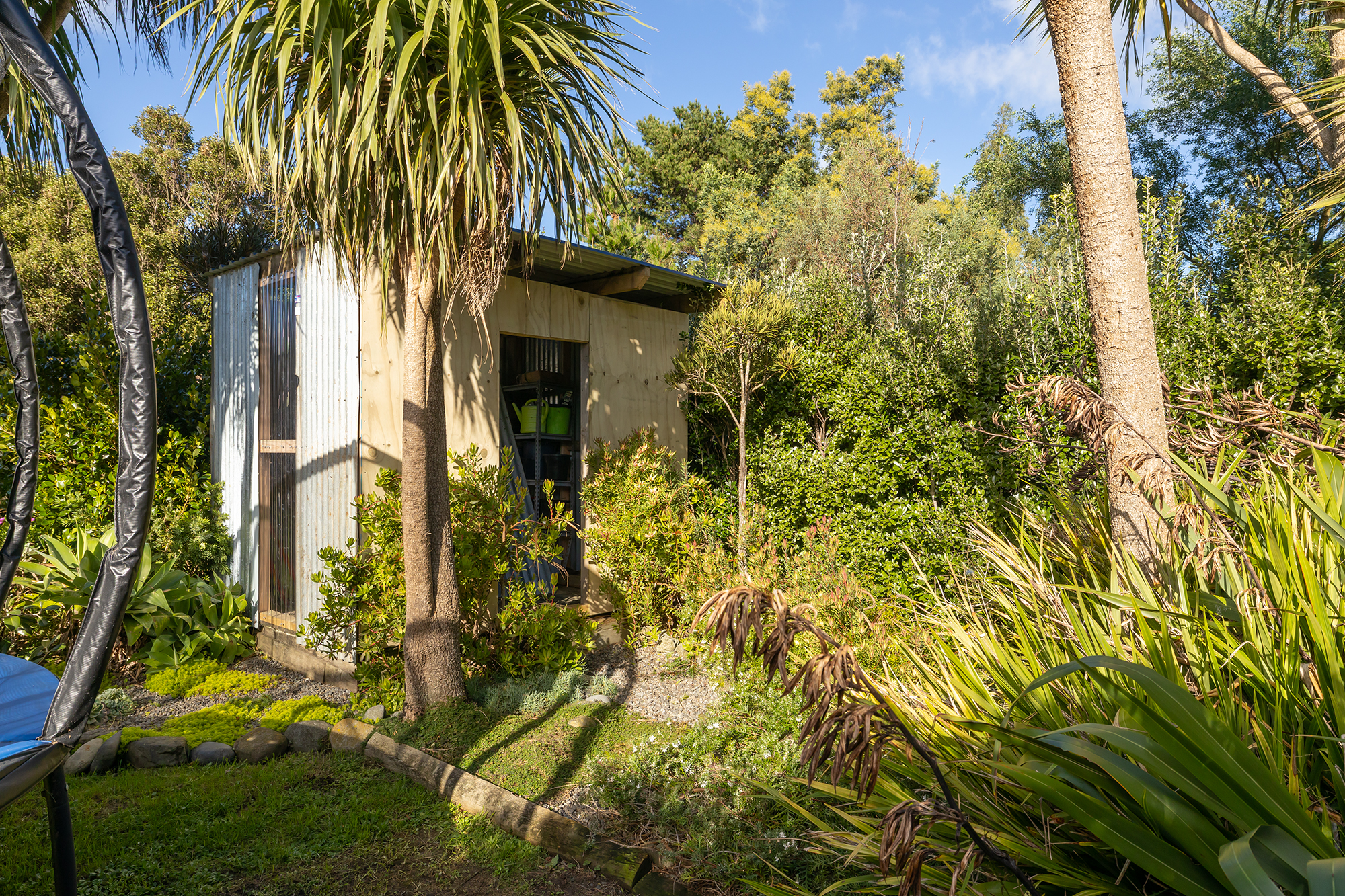 2Z4A9550